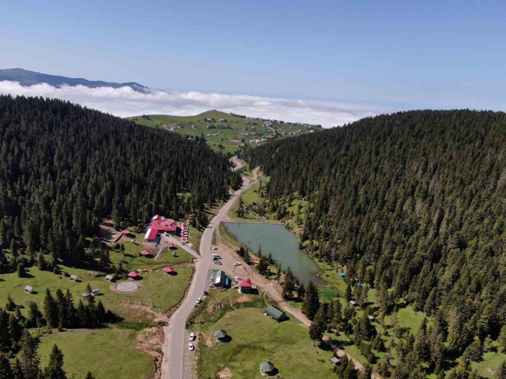 TRABZON'UN EN ÇOK İLGİ GÖREN YAYLALARI ARASINDA YERİNİ ALAN KAYABAŞI YAYLASI, YAZ MEVSİMİNİN BAŞLAMASIYLA BİRLİKTE HAREKETLENMEYE BAŞLADI
