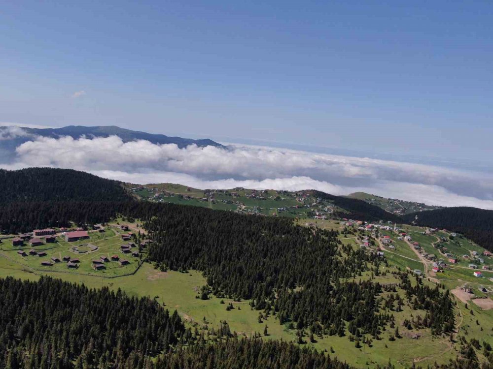 TRABZON'UN EN ÇOK İLGİ GÖREN YAYLALARI ARASINDA YERİNİ ALAN KAYABAŞI YAYLASI, YAZ MEVSİMİNİN BAŞLAMASIYLA BİRLİKTE HAREKETLENMEYE BAŞLADI