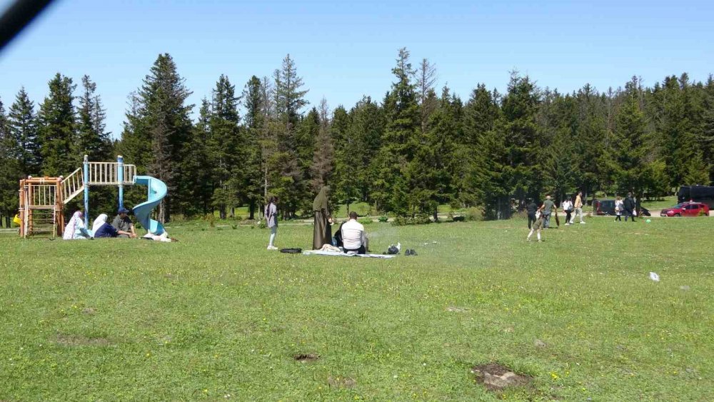 TRABZON'UN EN ÇOK İLGİ GÖREN YAYLALARI ARASINDA YERİNİ ALAN KAYABAŞI YAYLASI, YAZ MEVSİMİNİN BAŞLAMASIYLA BİRLİKTE HAREKETLENMEYE BAŞLADI