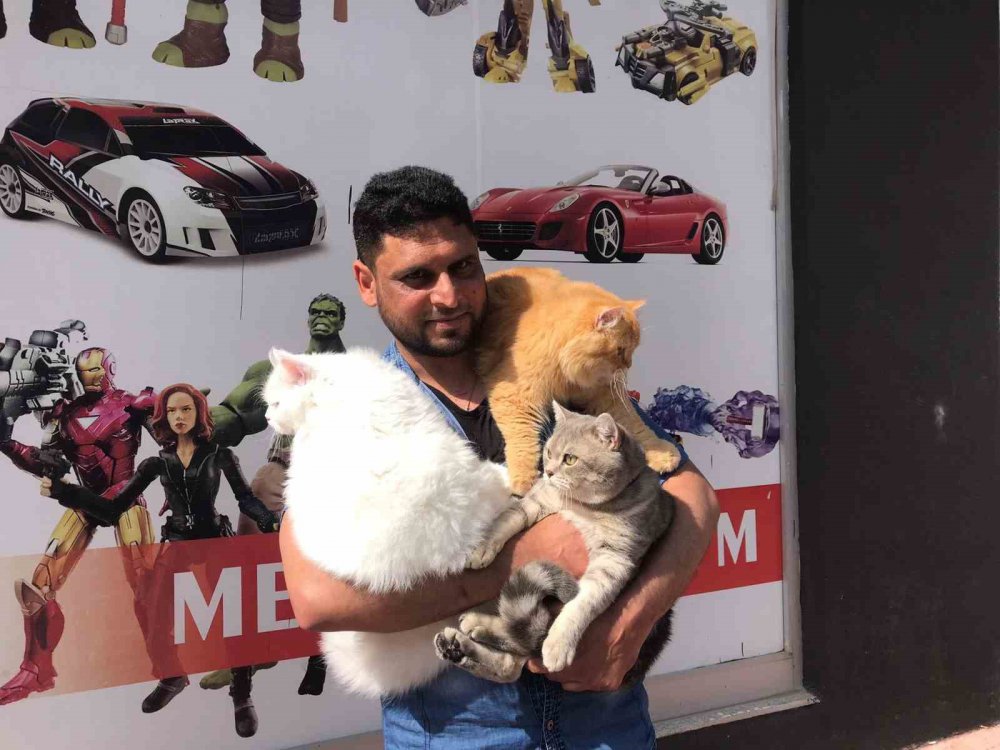 GÜMÜŞHANE'DE YAŞAYAN PAKİSTANLI BİLGİSAYAR MÜHENDİSİ LOKMAN HAMEED'İN HER GÜN OMUZUNA VE KUCAĞINA ALARAK GEZDİRDİĞİ 4 KEDİSİ KENTİN MASKOTU OLDU