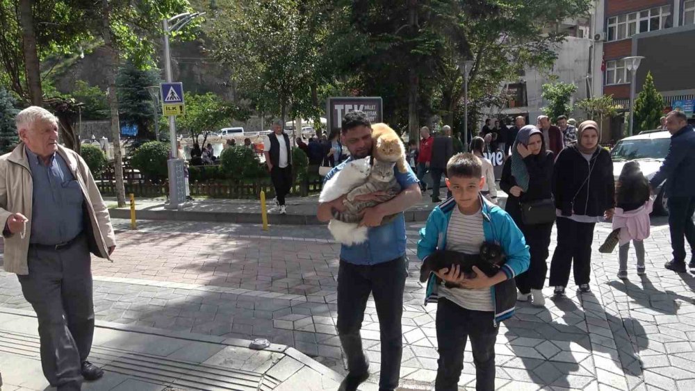 GÜMÜŞHANE'DE YAŞAYAN PAKİSTANLI BİLGİSAYAR MÜHENDİSİ LOKMAN HAMEED'İN HER GÜN OMUZUNA VE KUCAĞINA ALARAK GEZDİRDİĞİ 4 KEDİSİ KENTİN MASKOTU OLDU