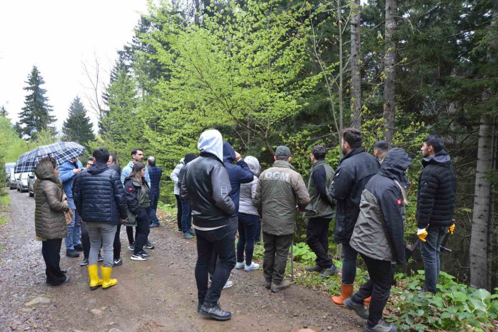 ARTVİN ÇORUH ÜNİVERSİTESİ'NDE ORMAN MÜHENDİSLİĞİ SON SINIF ÖĞRENCİLERİ YAPILAN PROTOKOLLE DOĞADA HEM ÇALIŞIP HEM DE GELİR ELDE EDİYORLAR
