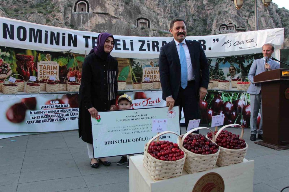 ANADOLU'NUN ELMASIYLA ÜNLÜ ŞEHRİ AMASYA'DA BU YIL DALLARI KİRAZ BASTI. BU YIL 52 BİN TONA YAKIN KİRAZ REKOLTESİ BEKLENEN MEYVE DİYARI AMASYA ÜRETİMDE TÜRKİYE GENELİNDE 3. SIRAYA YÜKSELDİ
