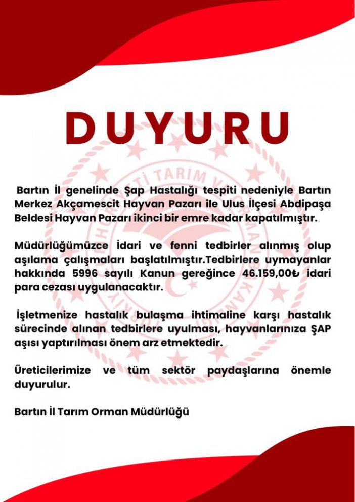 bartin-12.jpg