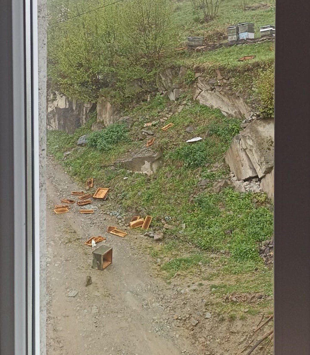 TRABZON'UN ŞALPAZARI İLÇESİNDE ARTAN AYI SALDIRILARI VATANDAŞLARI TEDİRGİN EDİYOR. MAHALLEYE İNEN AYILAR ARI KOVANLARINA, BÜYÜK VE KÜÇÜKBAŞ HAYVANLARA SALDIRIRKEN, EVLERE İSE ZARAR VERİYOR