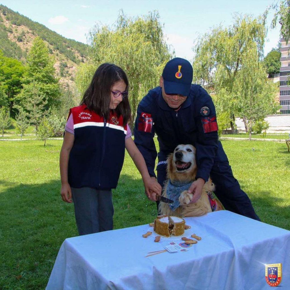 GÜMÜŞHANE'DE İL JANDARMA KOMUTANLIĞI EMRİNDE GÖREV YAPAN UYUŞTURUCU ARAMA KÖPEĞİ "ALTIN" YAŞ PASTA KESİLEREK EMEKLİ EDİLDİ