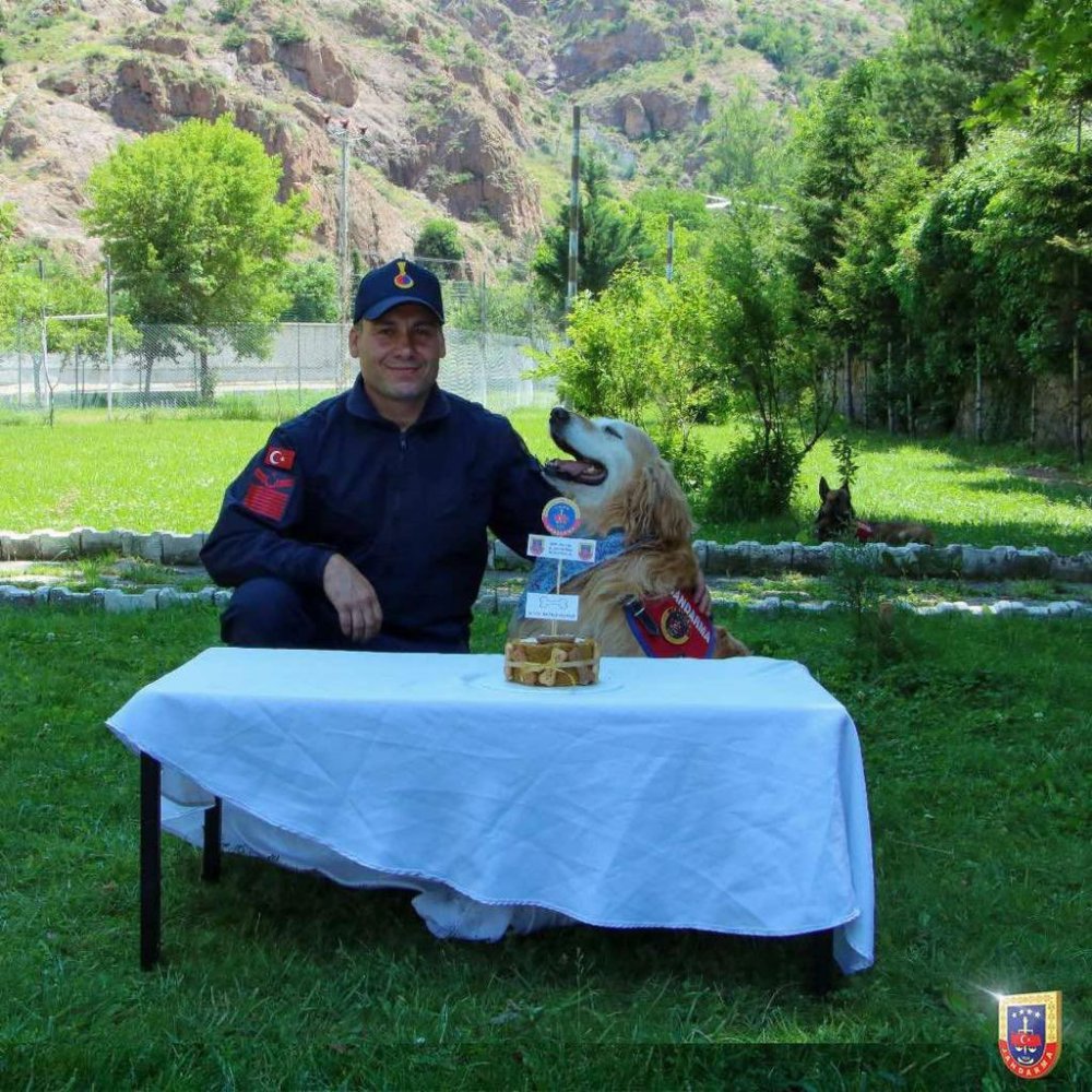 GÜMÜŞHANE'DE İL JANDARMA KOMUTANLIĞI EMRİNDE GÖREV YAPAN UYUŞTURUCU ARAMA KÖPEĞİ "ALTIN" YAŞ PASTA KESİLEREK EMEKLİ EDİLDİ