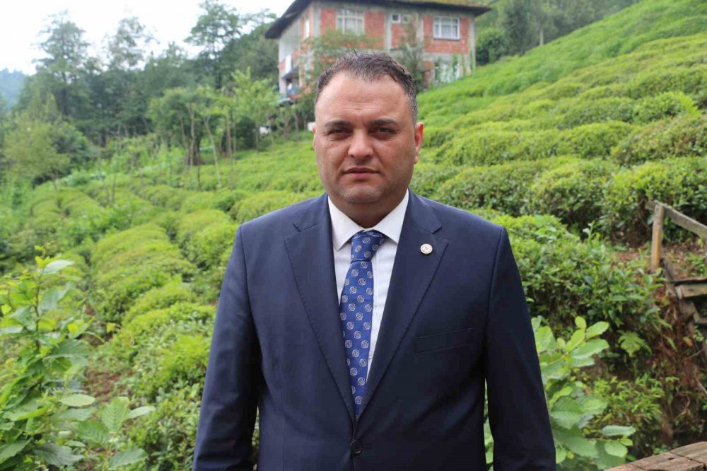 BÜNYAMİN ARSLAN; ÇAY ARAZİLERİNDE GÖRÜLEN SARGI OTU ÇAY ÜRETİCİSİNİ TEDİRGİN EDİYOR