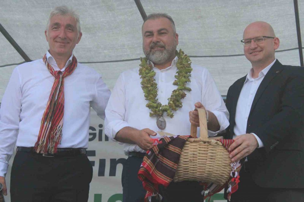 FINDIK HASADINA BAŞLAMADAN ÖNCE HER YIL GELENEKSEL OLARAK GÖRELE VE TİREBOLU KÖYLERİ TARAFINDAN DÜZENLENEN "FINDIK FESTİVALİ" FINDIK ÜRETİCİLERİNİ BİR ARAYA GETİRDİ