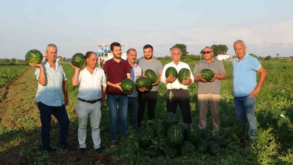 BAFRA KARPUZU RAFLARA YERİNİ ALMAYA BAŞLADI. SAMSUN'UN BAFRA İLÇESİNDE YAKLAŞIK 20 BİN DEKAR ALANDA EKİMİ YAPILAN KARPUZ, ÜRETİCİNİN YÜZÜNÜ GÜLDÜRÜYOR