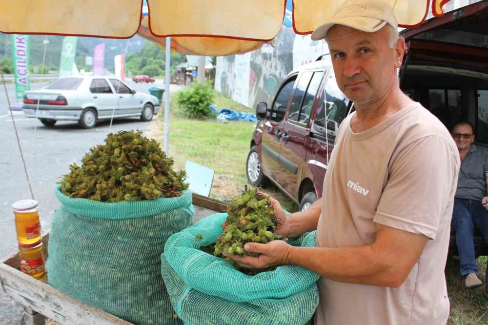 ORDULU ÜRETİCİLER, KARADENİZ SAHİL YOLU KENARLARINDA KURDUKLARI TEZGAHLARDA YAŞ FINDIĞIN KİLOGRAMINI 60 LİRADAN SATIŞA BAŞLADI