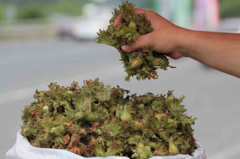 ORDULU ÜRETİCİLER, KARADENİZ SAHİL YOLU KENARLARINDA KURDUKLARI TEZGAHLARDA YAŞ FINDIĞIN KİLOGRAMINI 60 LİRADAN SATIŞA BAŞLADI