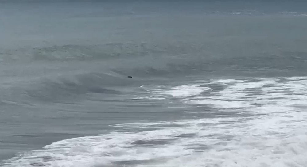 TRABZON'UN SÜRMENE İLÇESİ AÇIKLARINDA DENİZDE CESET İHBARINI DEĞERLENDİREN POLİS EKİPLERİNCE YAPILAN İNCELEMEDE CİSMİN ÇADIR OLDUĞU TESPİT EDİLDİ