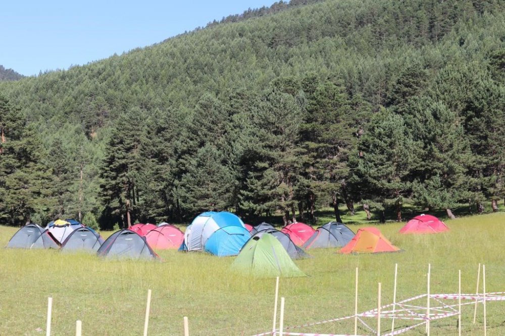 GÜMÜŞHANE'DE ULUSAL MEDİKAL KURTARMA EKİPLERİ (UMKE) TARAFINDAN DÜZENLENEN EĞİTİM PROGRAMIYLA UMKE GÖNÜLLÜSÜ SAYISI 110'A YÜKSELİRKEN EKİPLER TORUL ÇAYIRLAR MEVKİİNDE GERÇEĞİ ARATMAYAN TATBİKAT GERÇEKLEŞTİRDİ