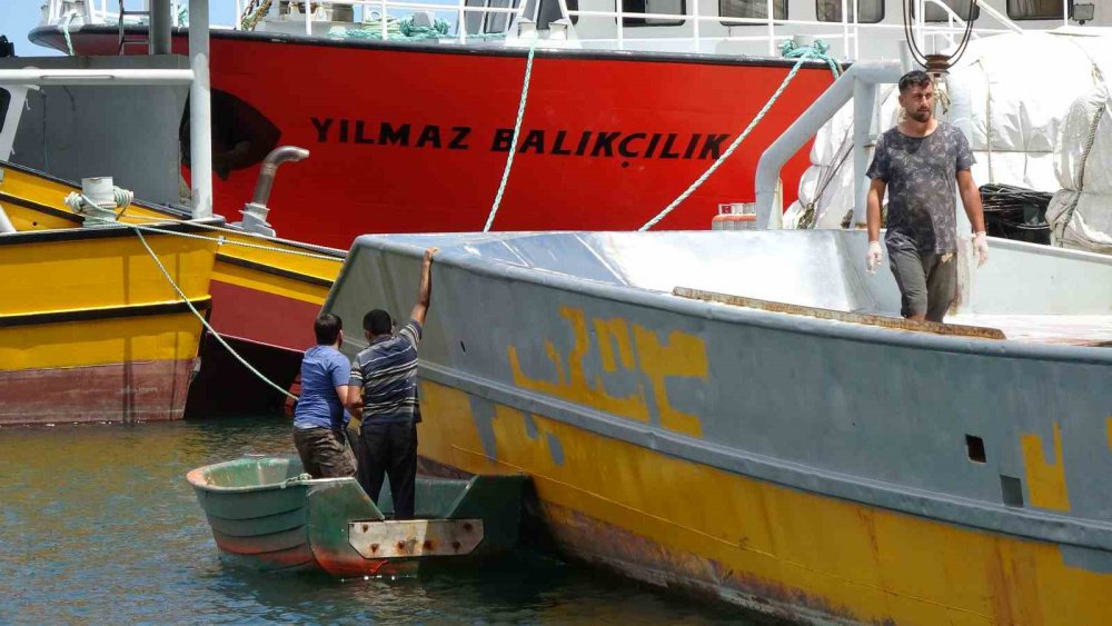KARADENİZ'DE 1 EYLÜL'DE BAŞLAYACAK YENİ BALIK AVI SEZONU ÖNCESİ TEKNELERİN BAKIMLARI SÜRERKEN, PALAMUDUN GÖRÜNTÜ VERMEMESİ HAMSİNİN İSE YAZ MEVSİMİ OLMASINA RAĞMEN GÖRÜNMESİ BALIKÇILARI ŞAŞIRTTI