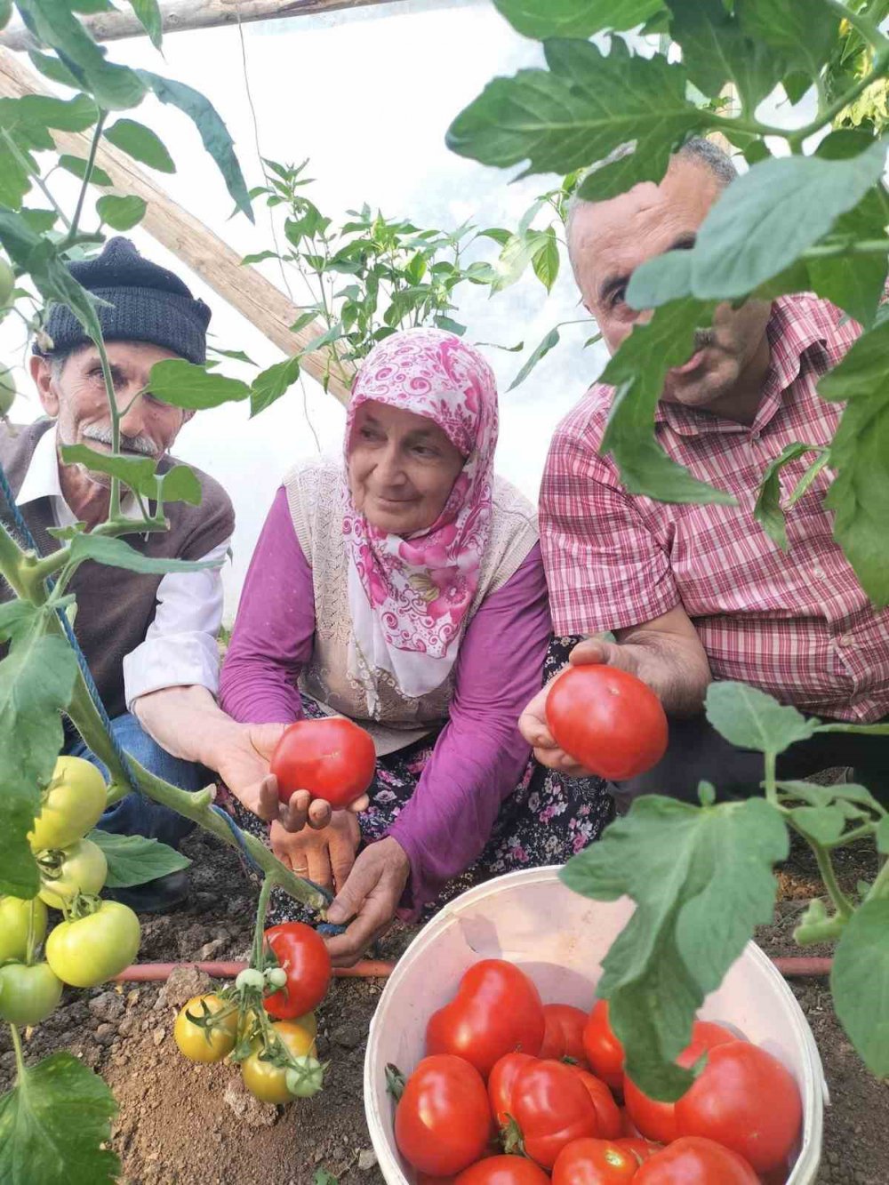 GİRESUN'UN YAVUZKEMAL BELDESİNDE 