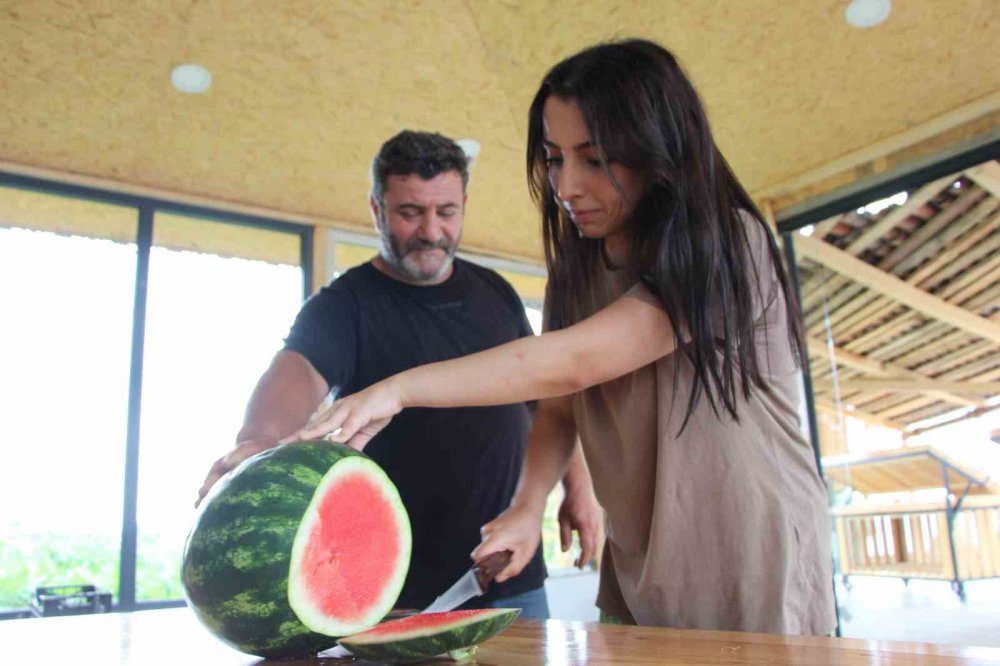TRABZON'DA 13 YIL ÖNCE ÜRETİMİNE BAŞLANAN VE AROMA BAKIMINDA OLDUKÇA YOĞUN İLGİ GÖREN YALINCAK KARPUZU ZARARLI BÖCEK TÜRLERİ VE ÜRETİM SAHALARINDAKİ KÜÇÜLME NEDENİYLE TEHLİKE ALTINA GİREREK ÜRETİM 50 TONA DÜŞTÜ