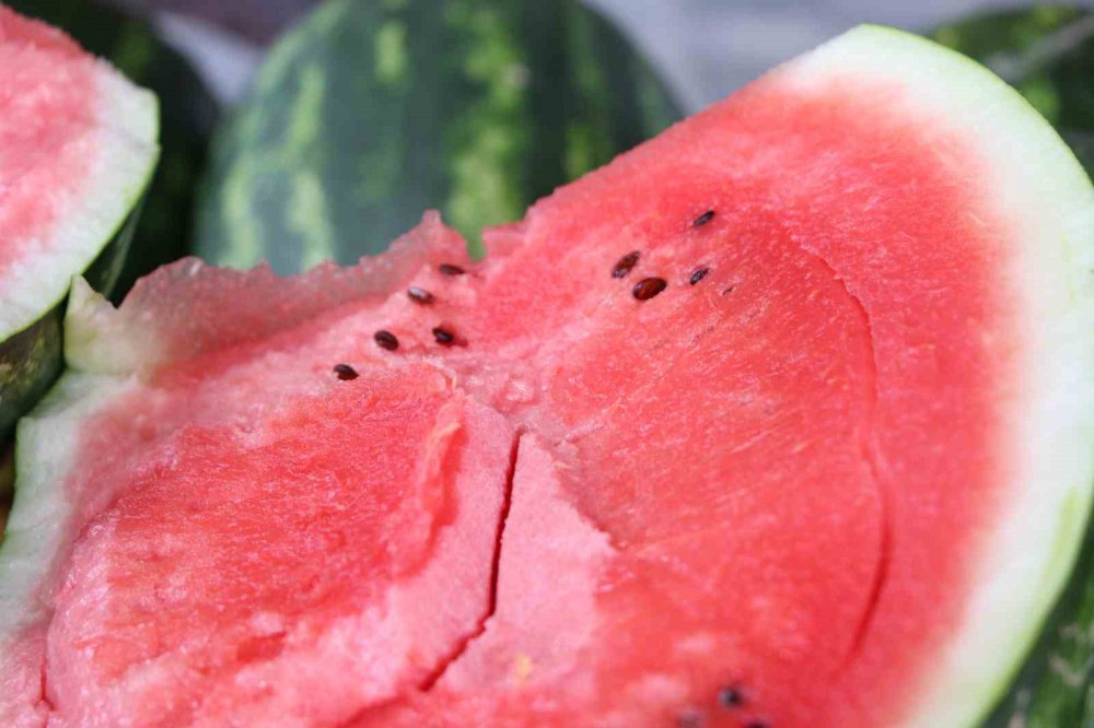 TRABZON'DA 13 YIL ÖNCE ÜRETİMİNE BAŞLANAN VE AROMA BAKIMINDA OLDUKÇA YOĞUN İLGİ GÖREN YALINCAK KARPUZU ZARARLI BÖCEK TÜRLERİ VE ÜRETİM SAHALARINDAKİ KÜÇÜLME NEDENİYLE TEHLİKE ALTINA GİREREK ÜRETİM 50 TONA DÜŞTÜ