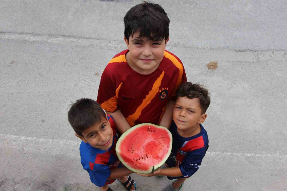 TRABZON'DA 13 YIL ÖNCE ÜRETİMİNE BAŞLANAN VE AROMA BAKIMINDA OLDUKÇA YOĞUN İLGİ GÖREN YALINCAK KARPUZU ZARARLI BÖCEK TÜRLERİ VE ÜRETİM SAHALARINDAKİ KÜÇÜLME NEDENİYLE TEHLİKE ALTINA GİREREK ÜRETİM 50 TONA DÜŞTÜ