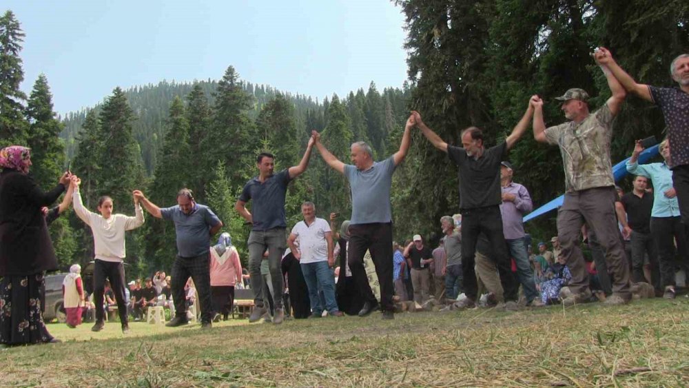 ARTVİN'İN BORÇKA İLÇESİNDE BULUNAN TÜRKİYE'NİN İL VE TEK BİYOSFER ALANI OLAN CAMİLİ BÖLGESİNDE BU YIL 2.'Sİ DÜZENLENEN YAYLA ŞENLİKLERİ RENKLİ GÖRÜNTÜLERE SAHNE OLDU
