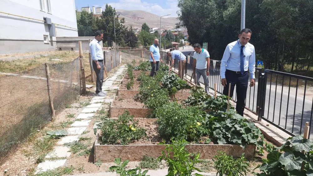 BAYBURT’TA ÖZEL EĞİTİM UYGULAMA OKULU BAHÇESİNE KURULAN TARIM UYGULAMA ALANINDA SEBZE YETİŞTİRİLİYOR.KENDİ SEBZESİNİ YETİŞTİREN ÖĞRENCİLER İSE, HASAT ZAMANINDA YETİŞEN ÜRÜNLERİ DALINDAN TOPLAYARAK, TÜKETİYORLAR
