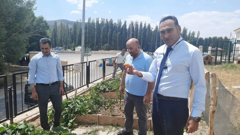 BAYBURT’TA ÖZEL EĞİTİM UYGULAMA OKULU BAHÇESİNE KURULAN TARIM UYGULAMA ALANINDA SEBZE YETİŞTİRİLİYOR.KENDİ SEBZESİNİ YETİŞTİREN ÖĞRENCİLER İSE, HASAT ZAMANINDA YETİŞEN ÜRÜNLERİ DALINDAN TOPLAYARAK, TÜKETİYORLAR