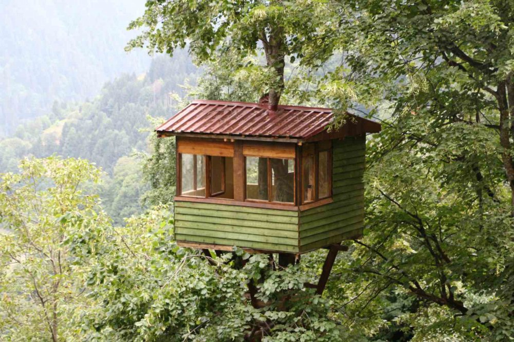 RİZELİ ÖĞRETMEN TATİLİNİ AĞACIN ÜZERİNE YAPTIĞI EVDE GEÇİRİYOR. YAZ TATİLLERİNİ MEMLEKETİ RİZE'DE DEĞERLENDİREN EYÜP KAYA, SADECE TIRMANABİLENLERİN ULAŞABİLECEĞİ AĞAÇ EVDE BÜTÜN ZAMANINI GEÇİRİYOR