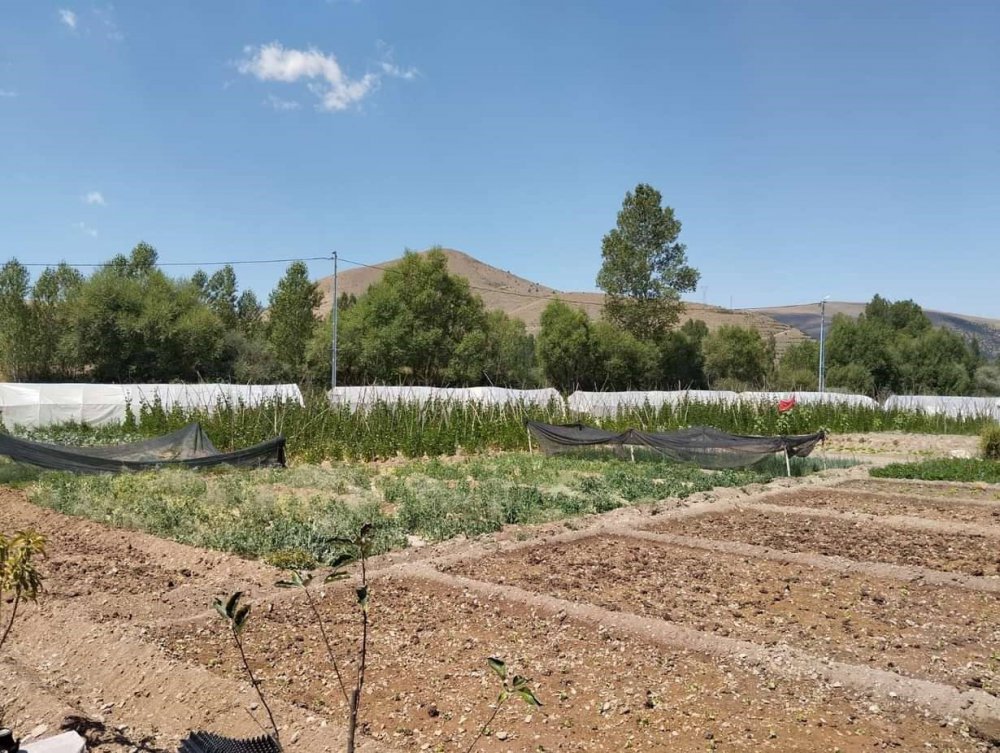 BAYBURT EKO-KÖYDE VATANDAŞLAR KENDİ HASAT ETTİĞİ ÜRÜNLERİ SATIN ALABİLİYORLAR