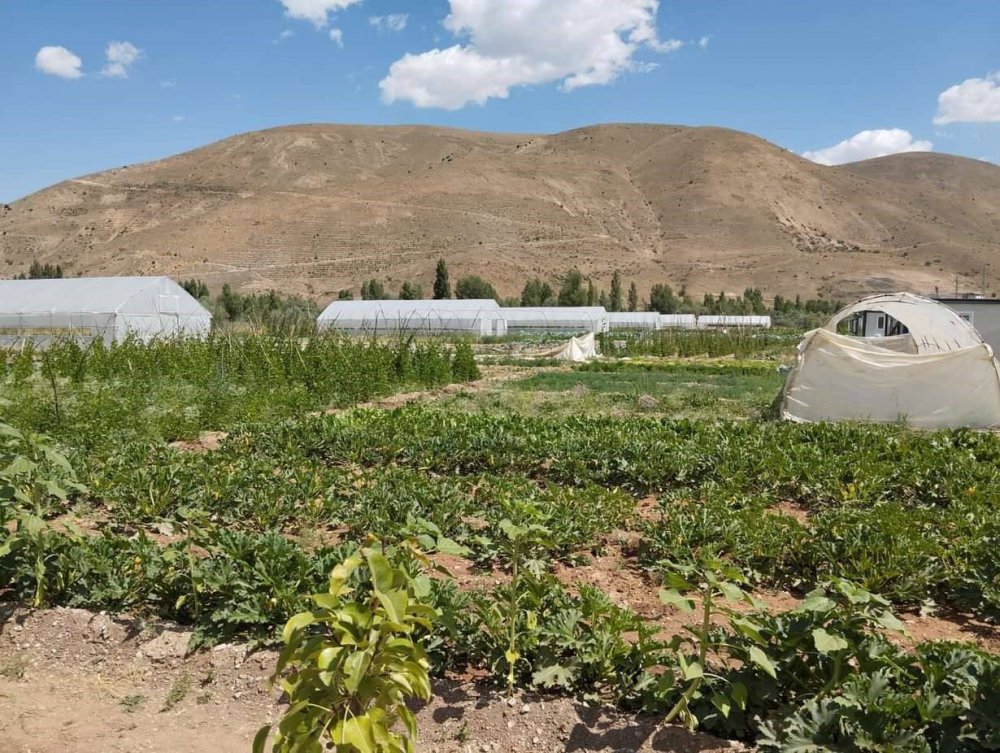 BAYBURT EKO-KÖYDE VATANDAŞLAR KENDİ HASAT ETTİĞİ ÜRÜNLERİ SATIN ALABİLİYORLAR