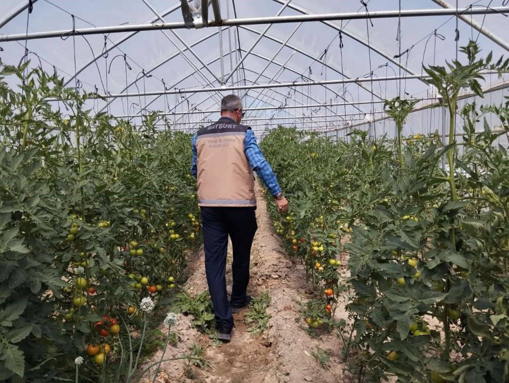 BAYBURT EKO-KÖYDE VATANDAŞLAR KENDİ HASAT ETTİĞİ ÜRÜNLERİ SATIN ALABİLİYORLAR