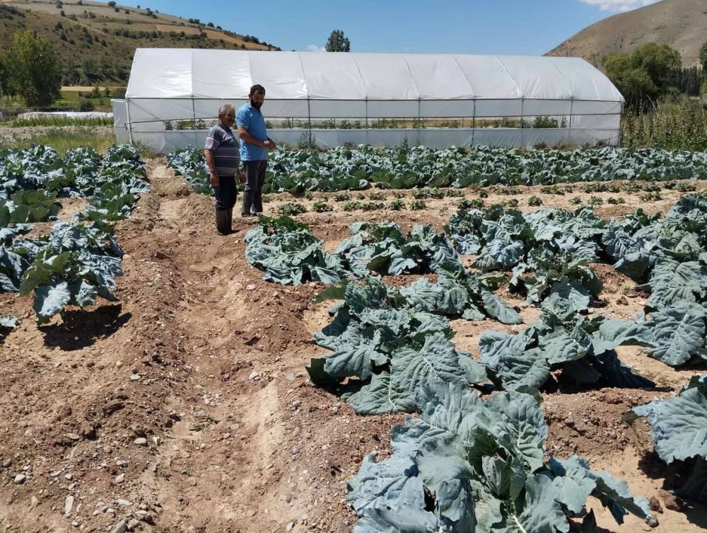 BAYBURT EKO-KÖYDE VATANDAŞLAR KENDİ HASAT ETTİĞİ ÜRÜNLERİ SATIN ALABİLİYORLAR