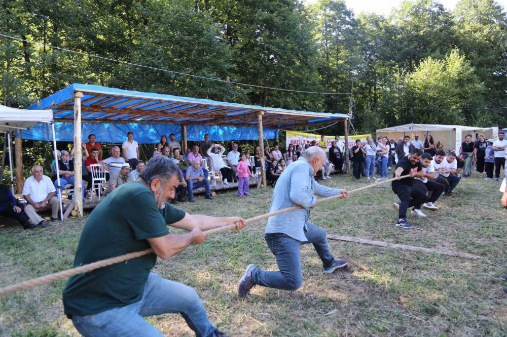 ARTVİN'DE DÜZENLENEN BAL FESTİVALİNDE COĞRAFİ İŞARETLİ HATİLA BALI AÇIK ARTTIRMA USULÜ İLE 55 BİN LİRAYA SATILDI