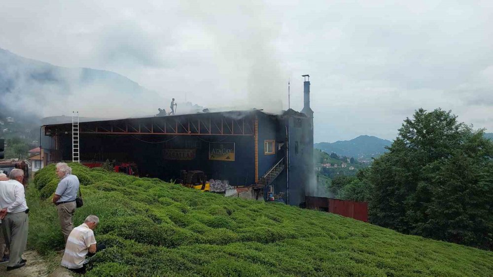 RİZE'NİN GÜNEYSU İLÇESİNE BAĞLI KİREMİT KÖYÜ AKARSU MAHALLESİNDE BULUNAN ÖZEL BİR ÇAY FABRİKASINDA YANGIN ÇIKTI. YANGINDA DUMANDAN ETKİLENEN BİR KİŞİ HASTANEYE KALDIRILDI