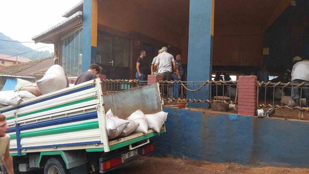 RİZE'NİN GÜNEYSU İLÇESİNE BAĞLI KİREMİT KÖYÜ AKARSU MAHALLESİNDE BULUNAN ÖZEL BİR ÇAY FABRİKASINDA YANGIN ÇIKTI. YANGINDA DUMANDAN ETKİLENEN BİR KİŞİ HASTANEYE KALDIRILDI