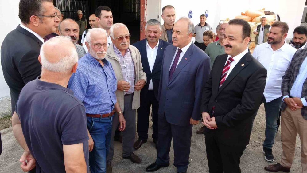 TOPRAK MAHSULLERİ OFİSİ'NCE  ORDU'DA YENİ SEZON FINDIK ALIMINA BAŞLANDI. 55 RANDIMAN GELEN İLK FINDIK 90 LİRADAN ALINIRKEN, ÜRETİCİLER FİYATTAN MEMNUN OLDUKLARINI BELİRTTİ