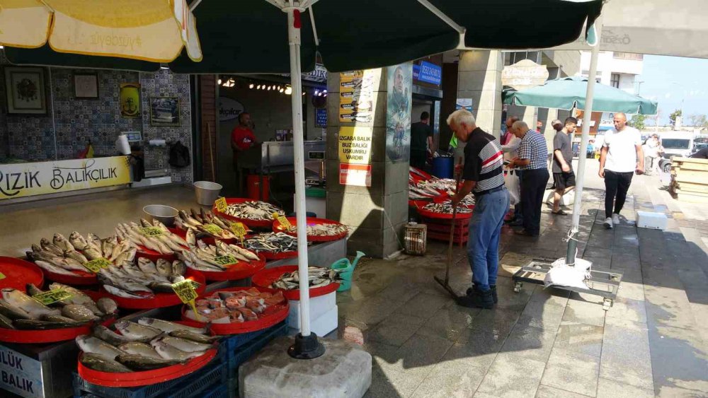 DENİZLERDE AV YASAĞININ 1 EYLÜL İTİBARİYLE SONA ERMESİYLE TRABZON’LU BALIKÇILAR "VİRA BİSMİLLAH" DİYEREK DENİZE AÇILDI. TEKNELER AĞIRLIKLI OLARAK KG FİYATI 100 TL’DEN SATILAN İSTAVRİT AVLARKEN, PALAMUT TUTULAMADI