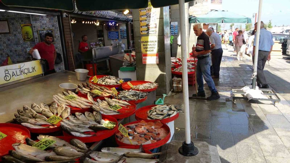 DENİZLERDE AV YASAĞININ 1 EYLÜL İTİBARİYLE SONA ERMESİYLE TRABZON’LU BALIKÇILAR "VİRA BİSMİLLAH" DİYEREK DENİZE AÇILDI. TEKNELER AĞIRLIKLI OLARAK KG FİYATI 100 TL’DEN SATILAN İSTAVRİT AVLARKEN, PALAMUT TUTULAMADI