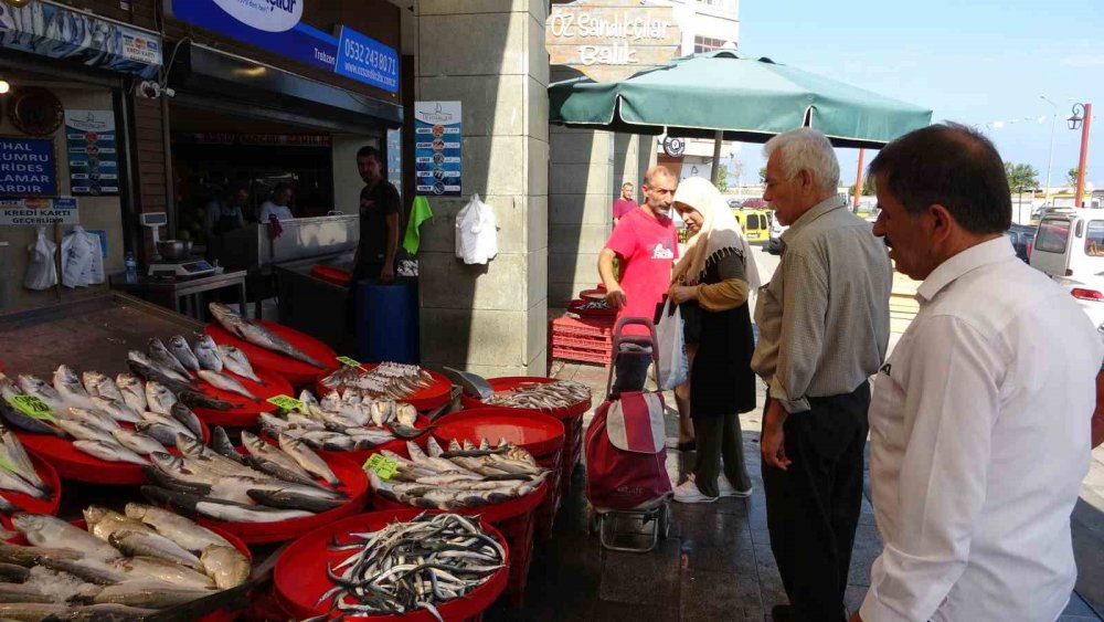 DENİZLERDE AV YASAĞININ 1 EYLÜL İTİBARİYLE SONA ERMESİYLE TRABZON’LU BALIKÇILAR "VİRA BİSMİLLAH" DİYEREK DENİZE AÇILDI. TEKNELER AĞIRLIKLI OLARAK KG FİYATI 100 TL’DEN SATILAN İSTAVRİT AVLARKEN, PALAMUT TUTULAMADI