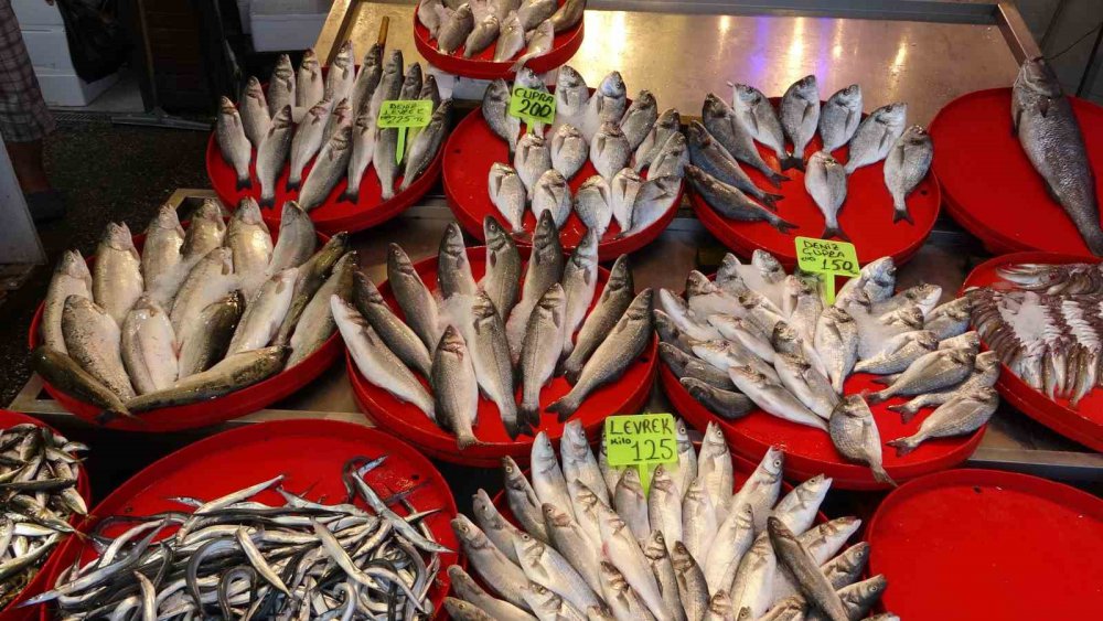 DENİZLERDE AV YASAĞININ 1 EYLÜL İTİBARİYLE SONA ERMESİYLE TRABZON’LU BALIKÇILAR "VİRA BİSMİLLAH" DİYEREK DENİZE AÇILDI. TEKNELER AĞIRLIKLI OLARAK KG FİYATI 100 TL’DEN SATILAN İSTAVRİT AVLARKEN, PALAMUT TUTULAMADI