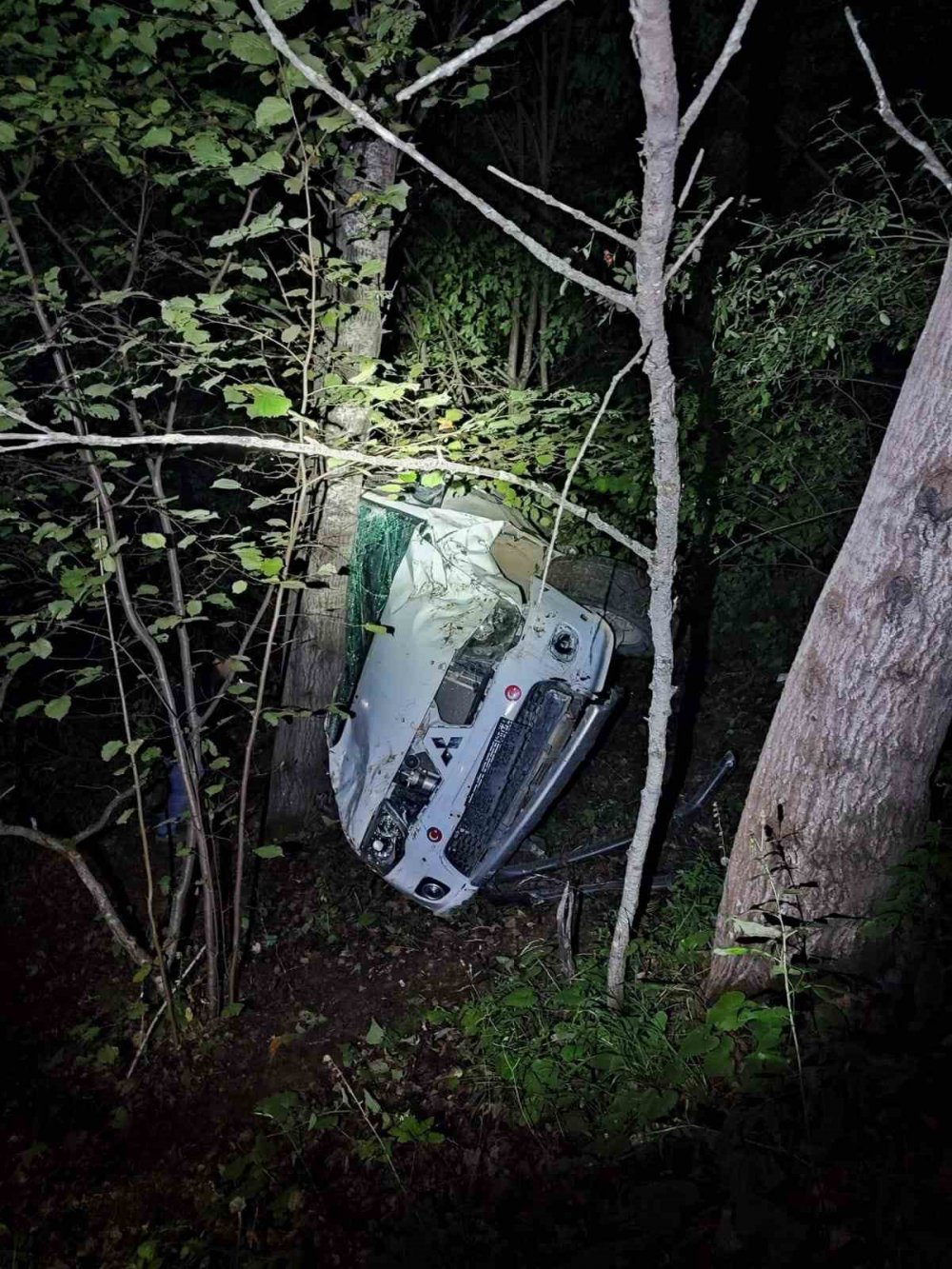 ARTVİN'İN ARDANUÇ İLÇESİ TOSUNLU KÖYÜ MEVKİİNDE MEYDANA GELEN TRAFİK KAZASINDA 16 YAŞINDA EGEMEN LEVENT HAYATINI KAYDETTİ, SÜRÜCÜ GÖKDENİZ TEKİN VE BORA GÜREŞ YARALANDI