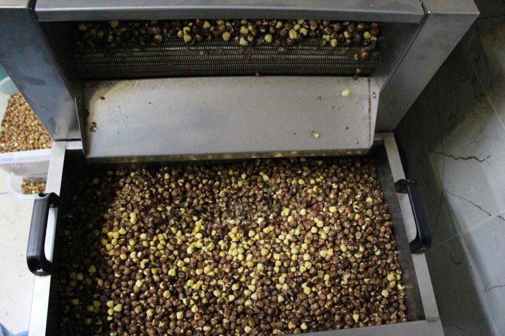 KARADENİZ BÖLGESİ'NDE AĞUSTOS AYINDA BAŞLAYAN TOPLAMA İŞLEMİNİN ARDINDAN KURUTULAN FINDIKLAR ŞİMDİLERDE KIRILARAK KAVURULUYOR