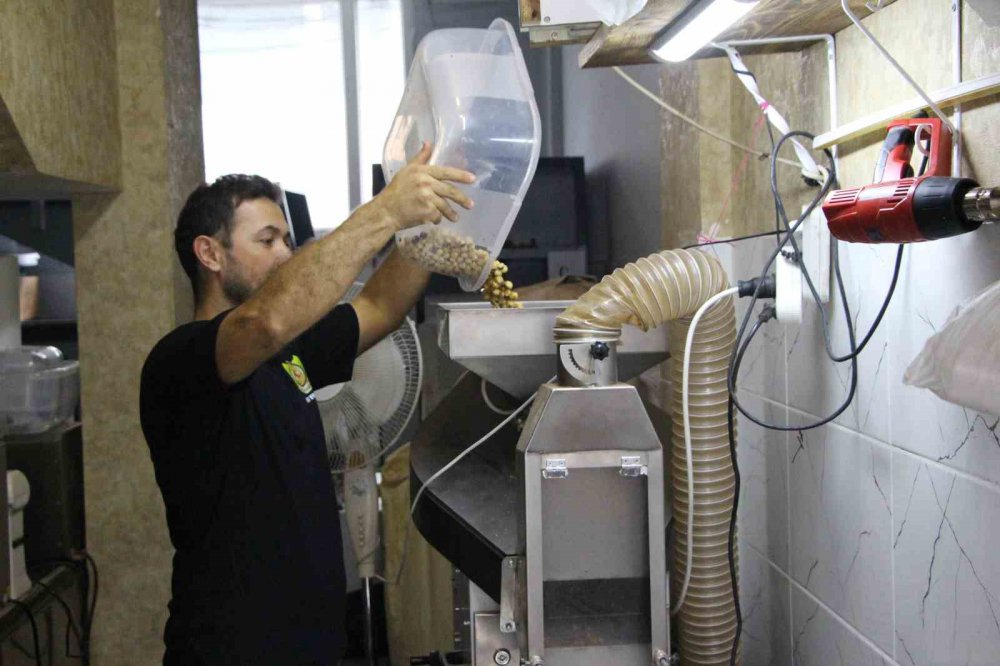 KARADENİZ BÖLGESİ'NDE AĞUSTOS AYINDA BAŞLAYAN TOPLAMA İŞLEMİNİN ARDINDAN KURUTULAN FINDIKLAR ŞİMDİLERDE KIRILARAK KAVURULUYOR