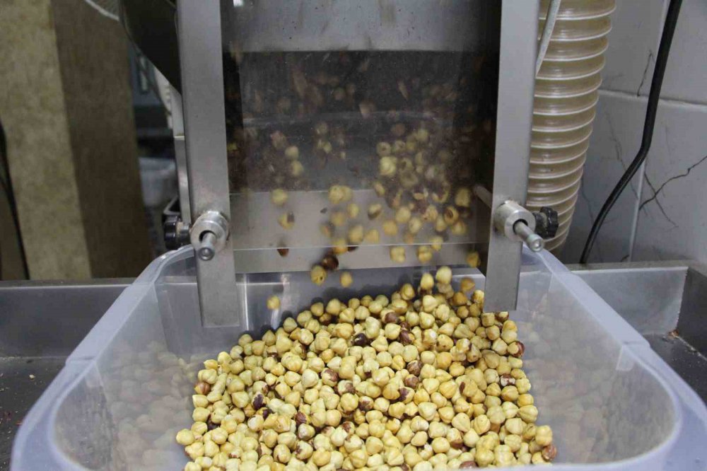 KARADENİZ BÖLGESİ'NDE AĞUSTOS AYINDA BAŞLAYAN TOPLAMA İŞLEMİNİN ARDINDAN KURUTULAN FINDIKLAR ŞİMDİLERDE KIRILARAK KAVURULUYOR