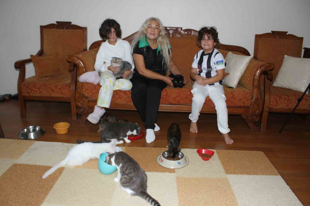 ORDU'DA YAŞAYAN AYLA GÖZÜKAN, 19 YILDIR HER GÜN DÜZENLİ OLARAK SOKAK KEDİLERİNİ BESLİYOR, KEDİLERİ İÇİN DAİRESİNDEN TAŞINMADIĞINI BELİRTİYOR