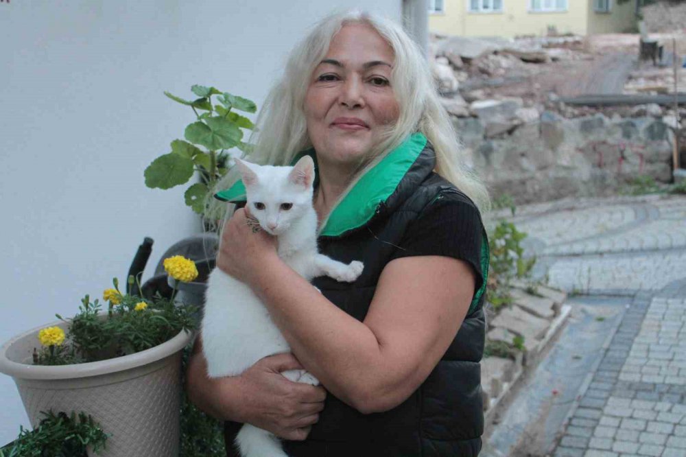 ORDU'DA YAŞAYAN AYLA GÖZÜKAN, 19 YILDIR HER GÜN DÜZENLİ OLARAK SOKAK KEDİLERİNİ BESLİYOR, KEDİLERİ İÇİN DAİRESİNDEN TAŞINMADIĞINI BELİRTİYOR
