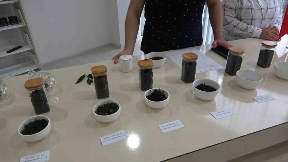 ALMANYA, BULGARİSTAN, BELÇİKA VE POLONYA'DAN GELEN 5 GAZETECİ VE YAZAR RİZE'YE GELEREK ÇAYIN BAHÇEDEN BARDAĞA KADAR OLAN SERÜVENİNİ YERİNDE ÖĞRENDİ