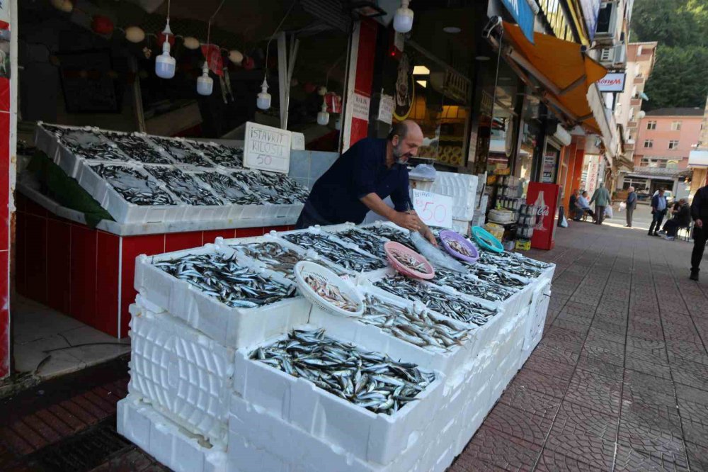 RİZE'DE AV YASAĞININ SONA ERMESİYLE BALIKÇI TEZGÂHLARI ÖZELLİKLE HAMSİ İLE BEREKETLENİRKEN, HENÜZ PALAMUT AVI GERÇEKLEŞMEDİ