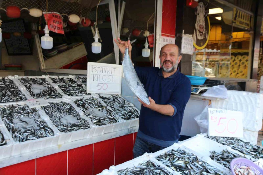 RİZE'DE AV YASAĞININ SONA ERMESİYLE BALIKÇI TEZGÂHLARI ÖZELLİKLE HAMSİ İLE BEREKETLENİRKEN, HENÜZ PALAMUT AVI GERÇEKLEŞMEDİ