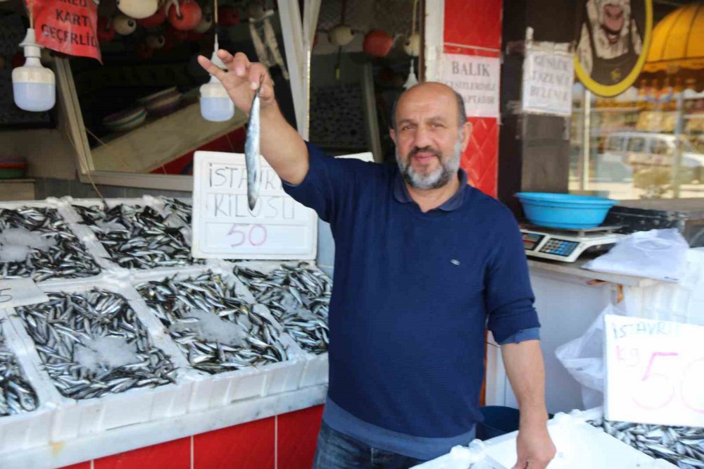 RİZE'DE AV YASAĞININ SONA ERMESİYLE BALIKÇI TEZGÂHLARI ÖZELLİKLE HAMSİ İLE BEREKETLENİRKEN, HENÜZ PALAMUT AVI GERÇEKLEŞMEDİ