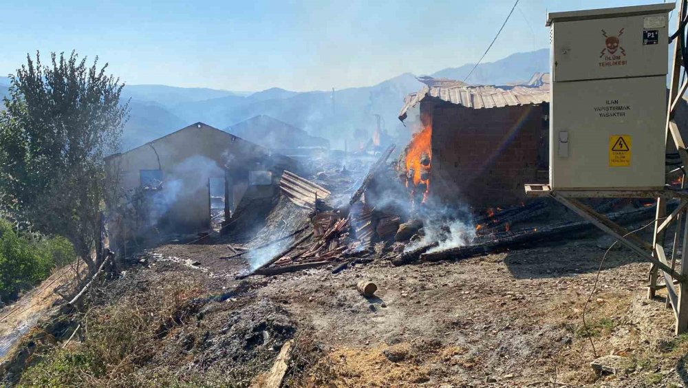 KASTAMONU’UN ARAÇ İLÇESİNE BAĞLI BİR KÖYDE ÇIKAN YANGIN DEVAM EDİYOR: 10 EV, 3 AHIR KULLANILAMAZ HALE GELDİ